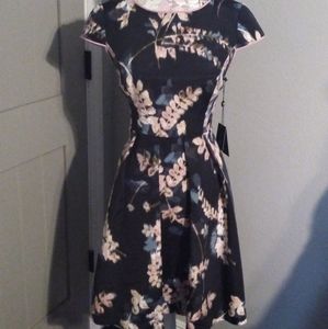 Adrianna Papell cocktail dress